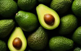 Premium Kenyan Hass Avocados – Grade A - Lioness Earthfoods International - Germany
